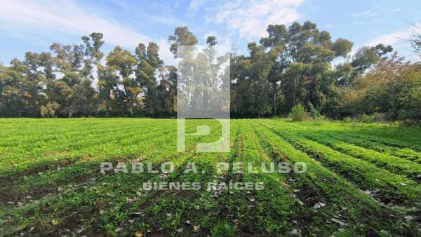 VENTA LOTE EN CUARTEL V, MORENO. ZONA OESTE. BUENOS AIRES. - 1