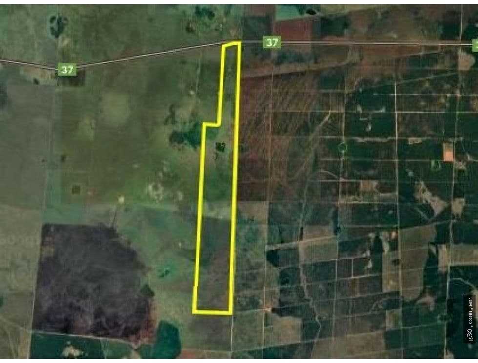 Campo Se Vende, De 214 Has. Zona Gdor. Virasoro - Corrientes - 1