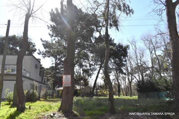 MENDOZA ANTE ESQUINA ENTRE RIOS - 1