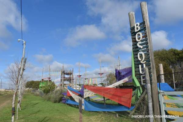 IDEAL PARA UN GRAN PROYECTO - 1