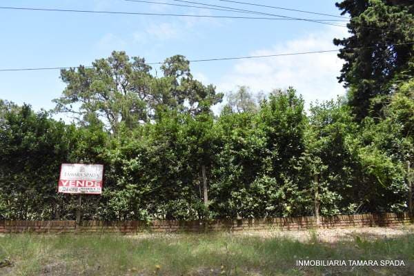 BUENOS AIRES ENTRE 27 Y PARQUE PÚBLICO - 1