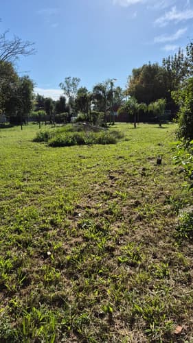 Mancicidor 5200 , La Campana - 1