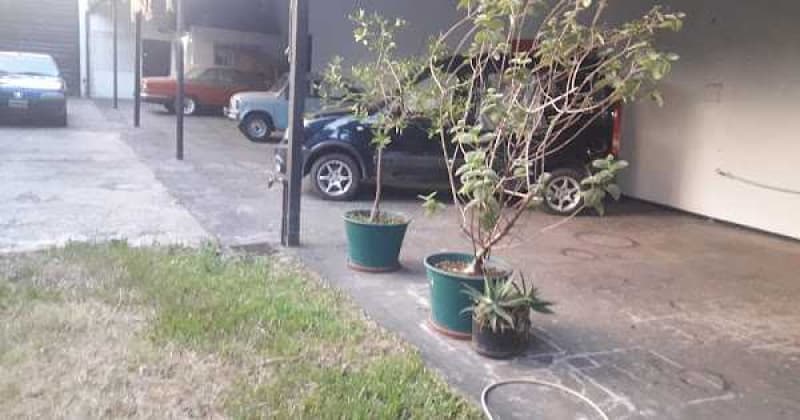 Casa en Venta Haedo / Moron (B111 325) - 1