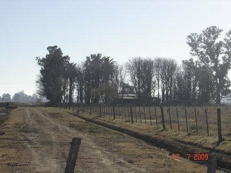 Campo en Ranchos - 1