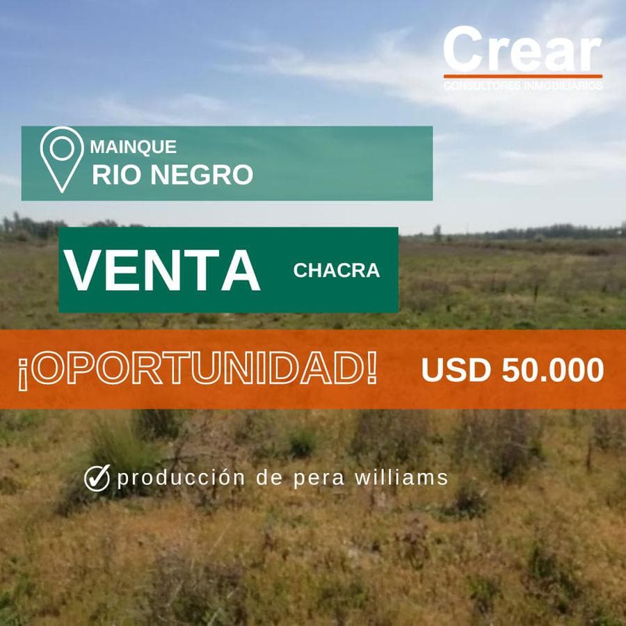 Chacra - Mainque - 1