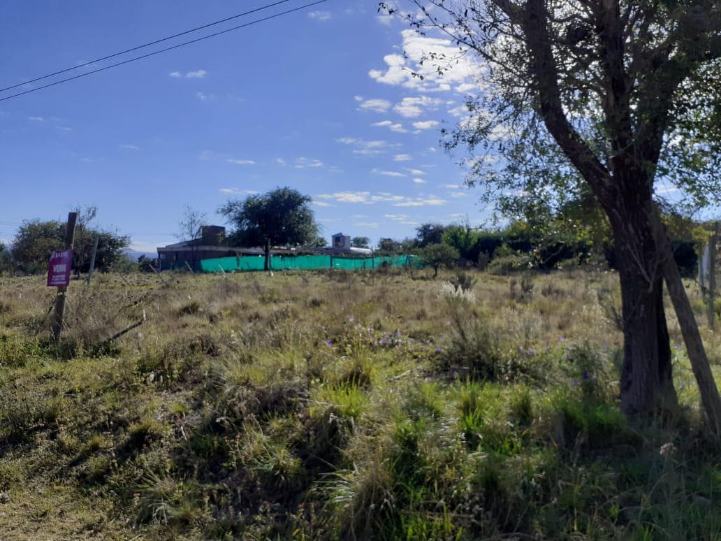 Terreno - Villa Giardino - 1