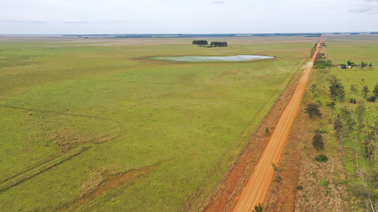 Se vende Campo Forestal - Ganadero en Santo Tome Con Agua y Alto. - 1