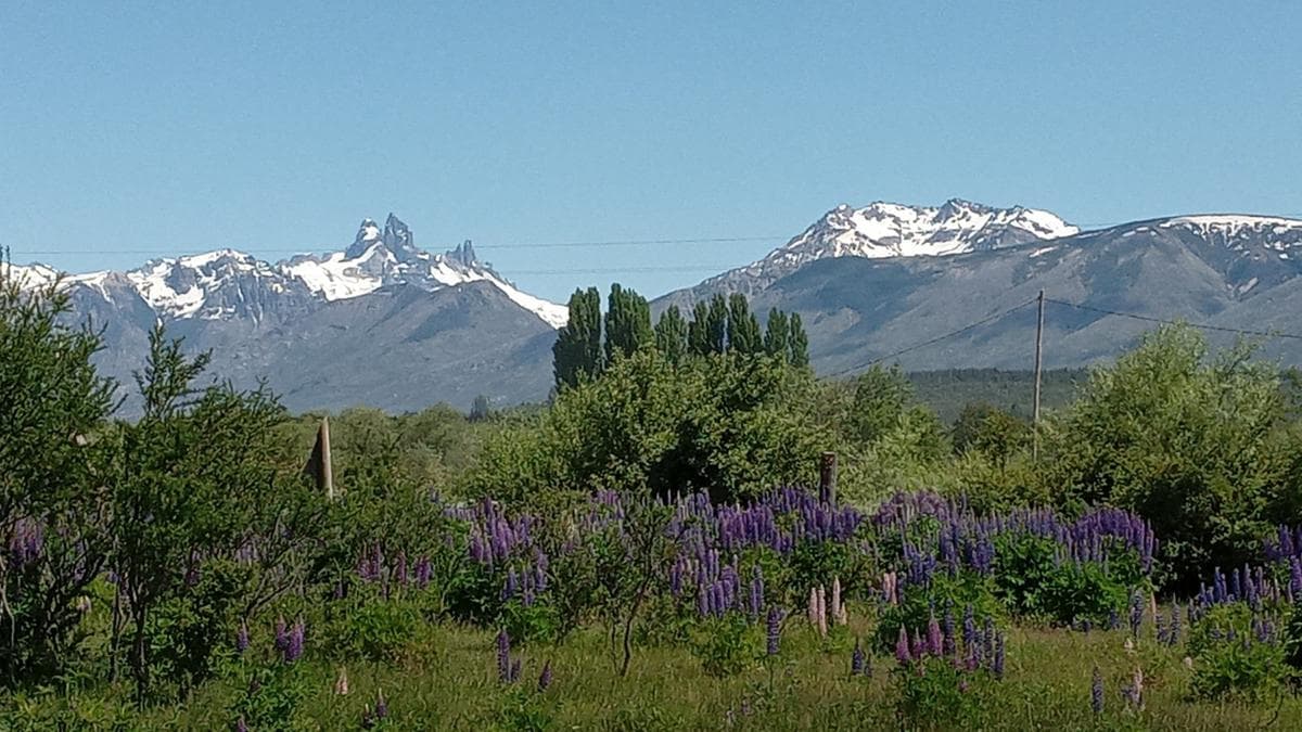 Chacra - Cholila - 2