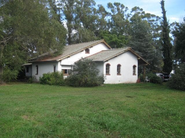 Campo sobre Ruta 88 de 105 Ha - 1