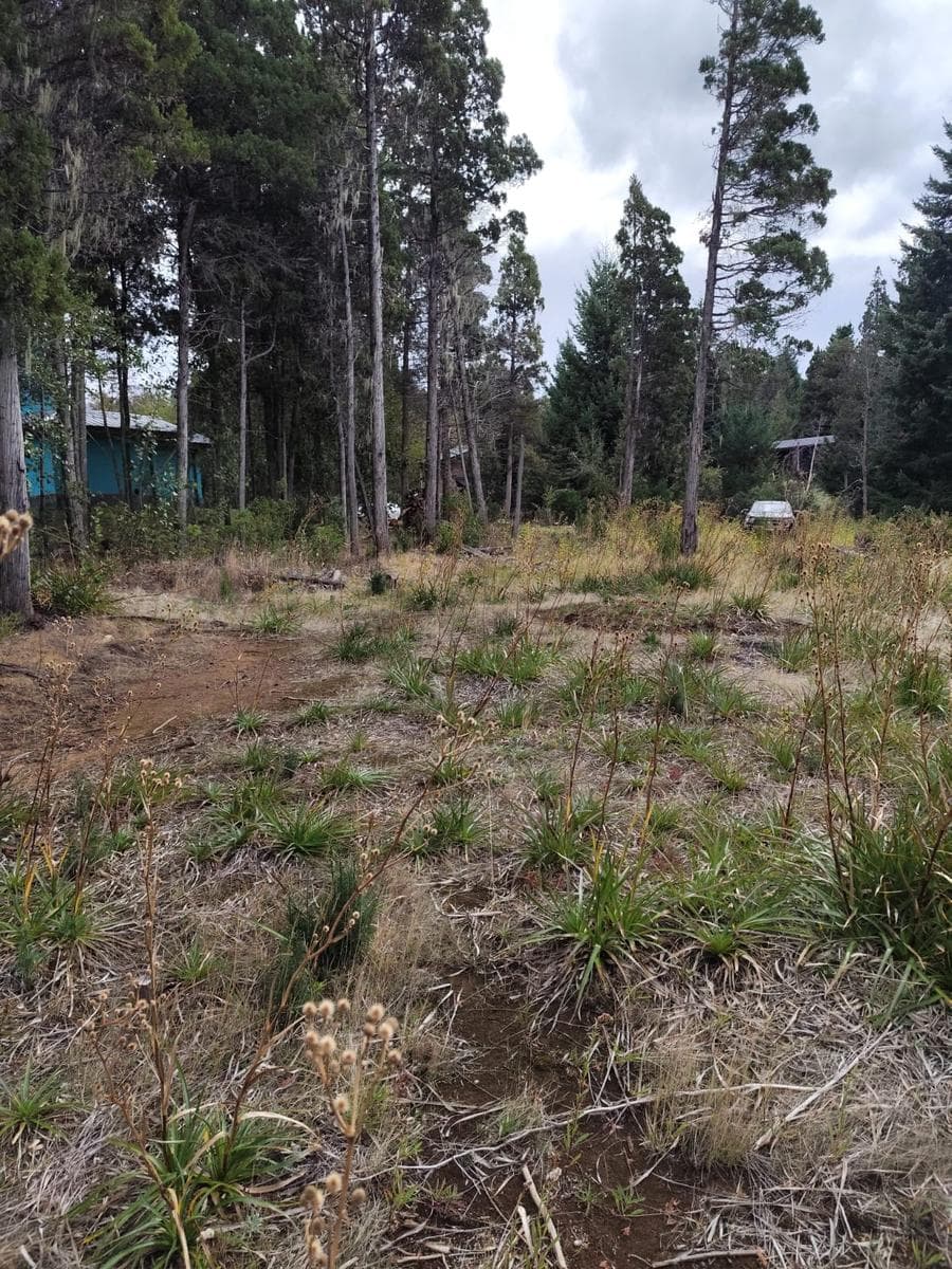 Chacra - El Bolson - 1