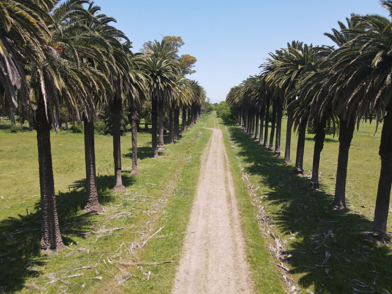 Único campo en venta de 256 has sobre Ruta 2 - Ideal desarrollo Inmobiliario - 1