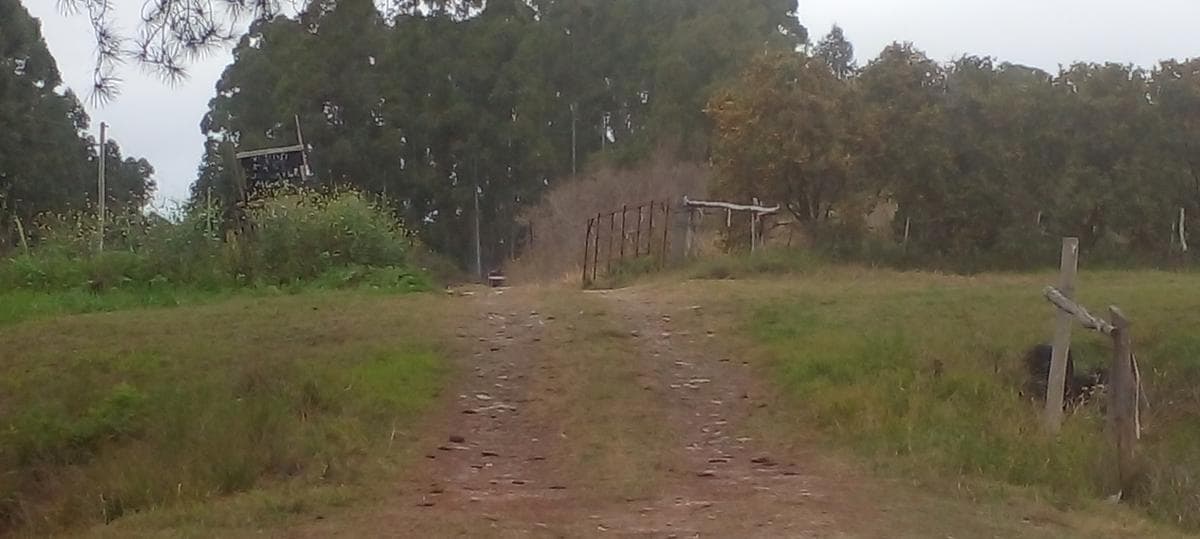 Quinta - Federacion - 1