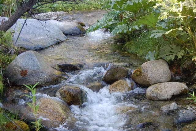 Campo 80 hectareas en Epuyen Chubut - 1