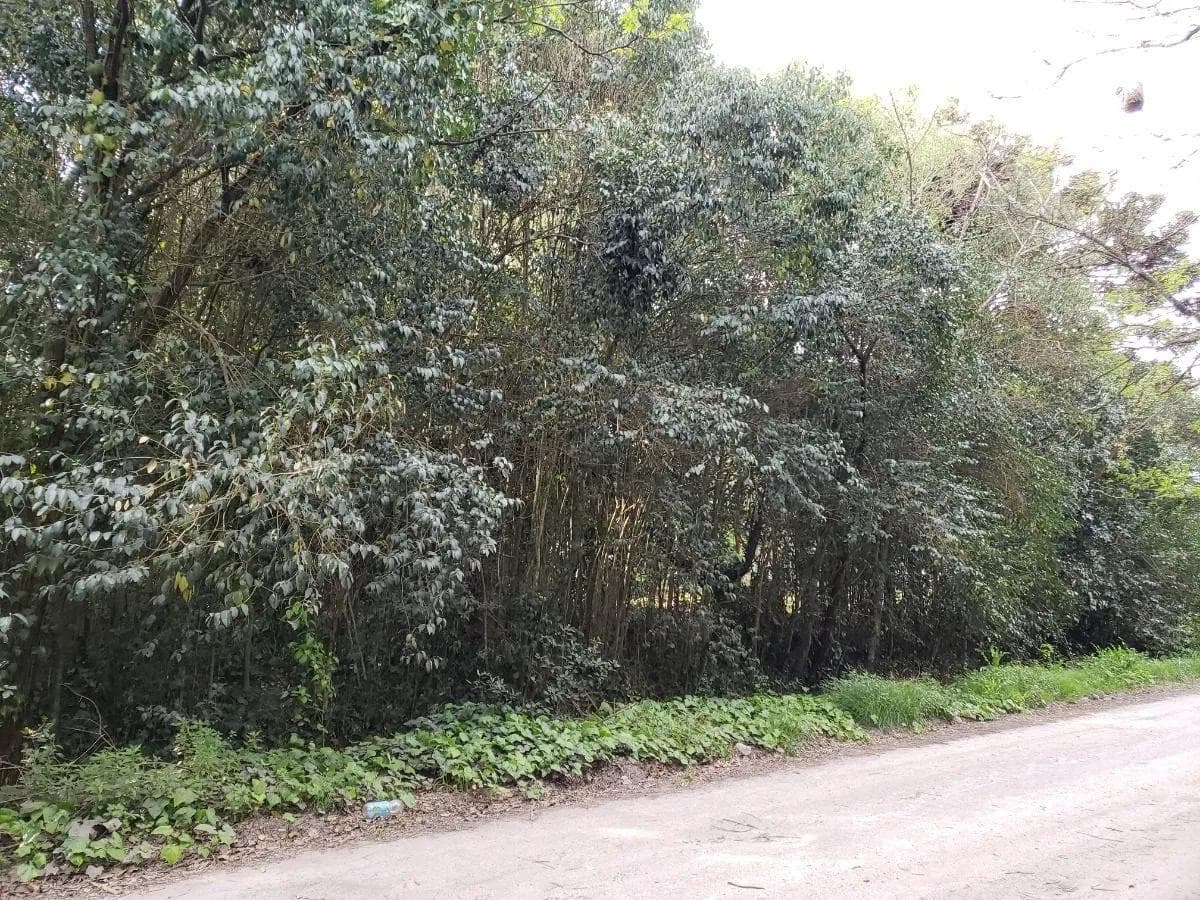 Terreno en venta - 1330Mts2 - Punta Indio - 1