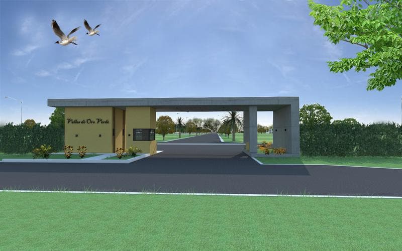 Terreno - Oro Verde - 1