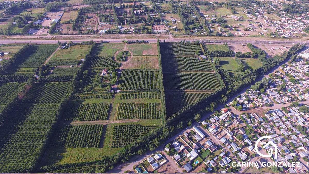 Loteo Manzanar de Plottier, sobre ruta 22. - 1