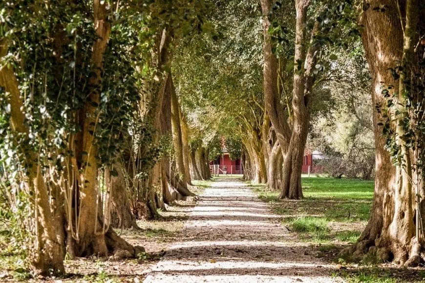 Terreno en venta - 2.400Mts2 - Club de Campo El Mirador, Coronel Brandsen - 1