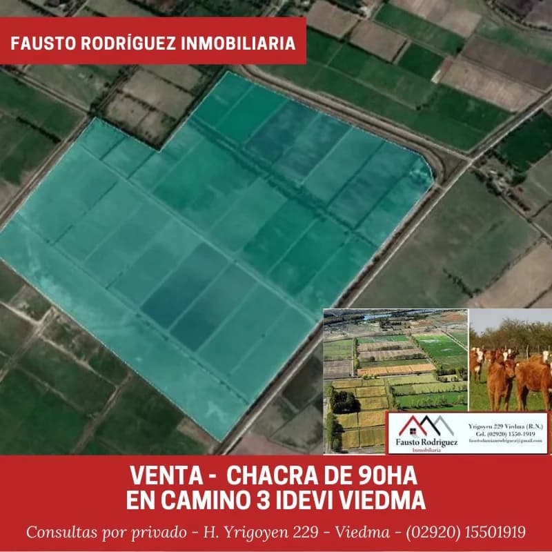 Chacra - Viedma - 1