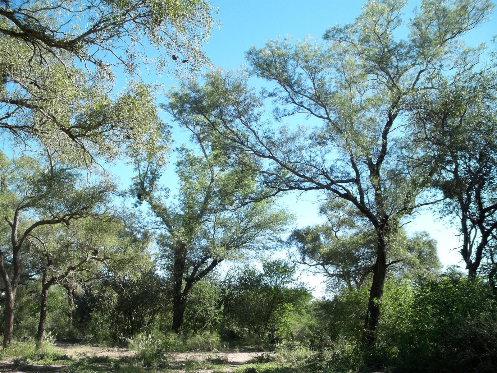 Campo Multipropósito sobre Ruta 34 - 1