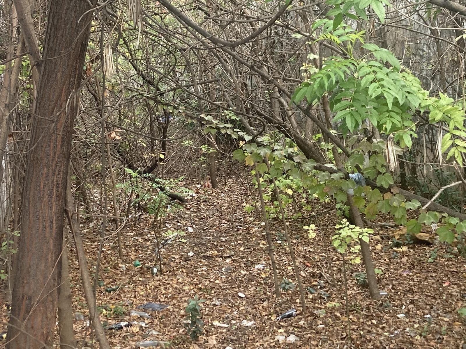 Terreno en Alquiler - Villa Crespo - A METROS DE JUAN B JUSTO Y CORDOBA - 2