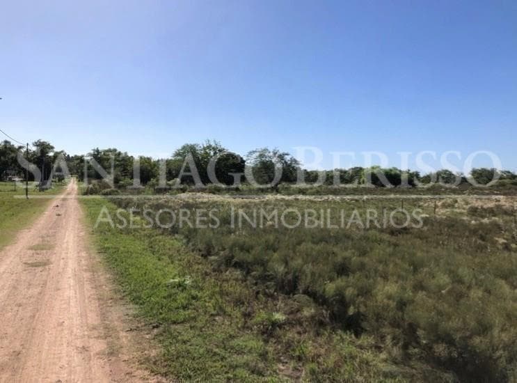 Terreno Campo en Venta en Alto Los Cardales, Campana, G.B.A. Zona Norte - 1