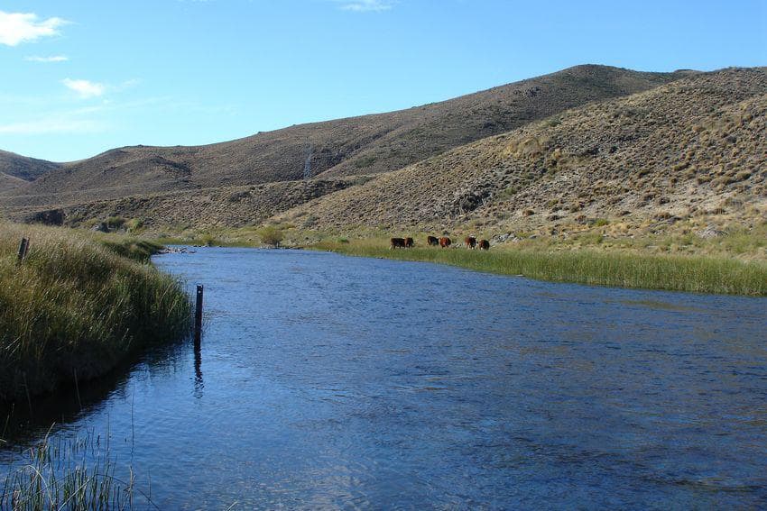 Campo sobre Río Pichileufu, Río Negro. Ruta 40 vieja - Bariloche - 1