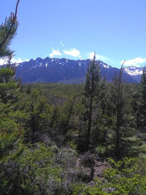 Chacra - El Bolson - 1