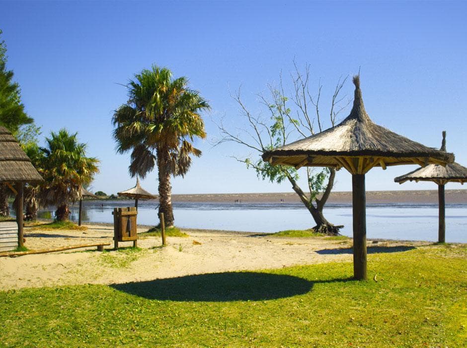 Ruta 11, Punta Indio - VENTA LOTE Nro. 2 - 1200m2 - 1