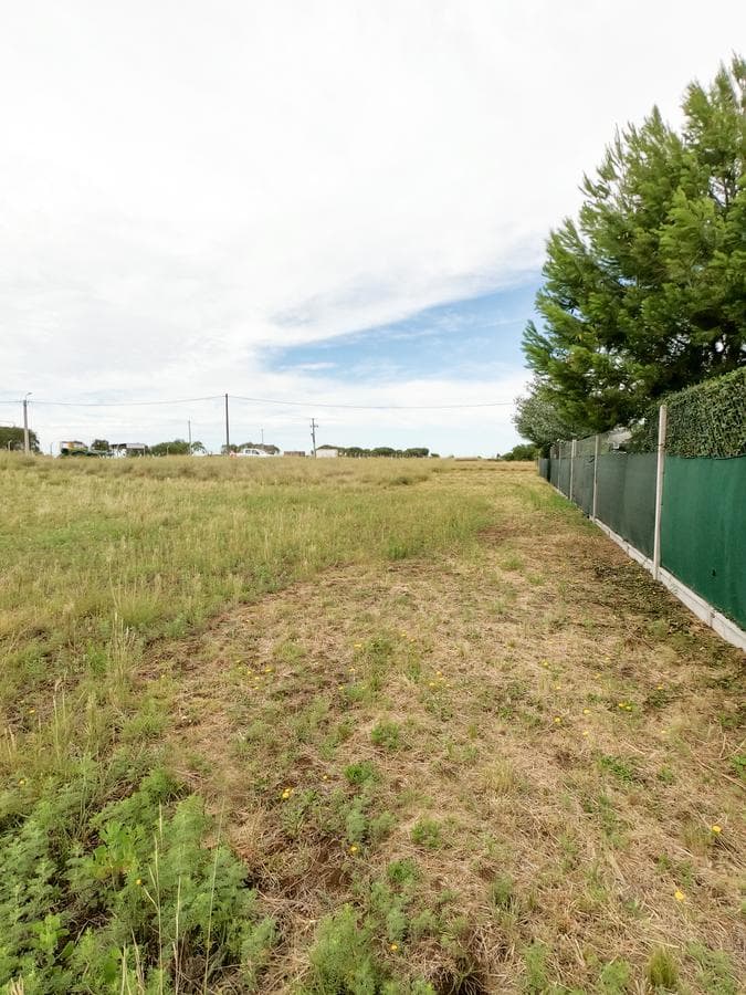 Terreno - Speluzzi - 1