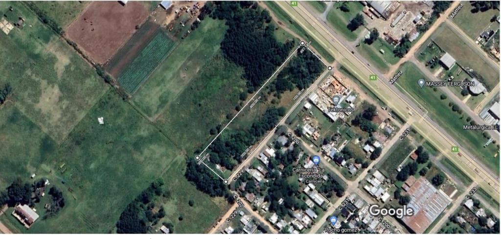 Campo - General Belgrano - 1