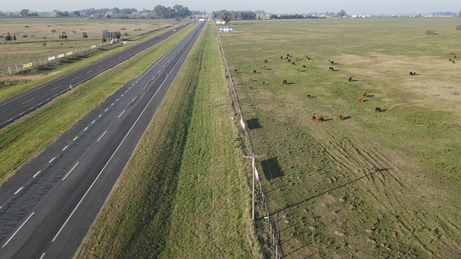 Campo en venta 106 has Brandsen. Apto Desarrollo - 1