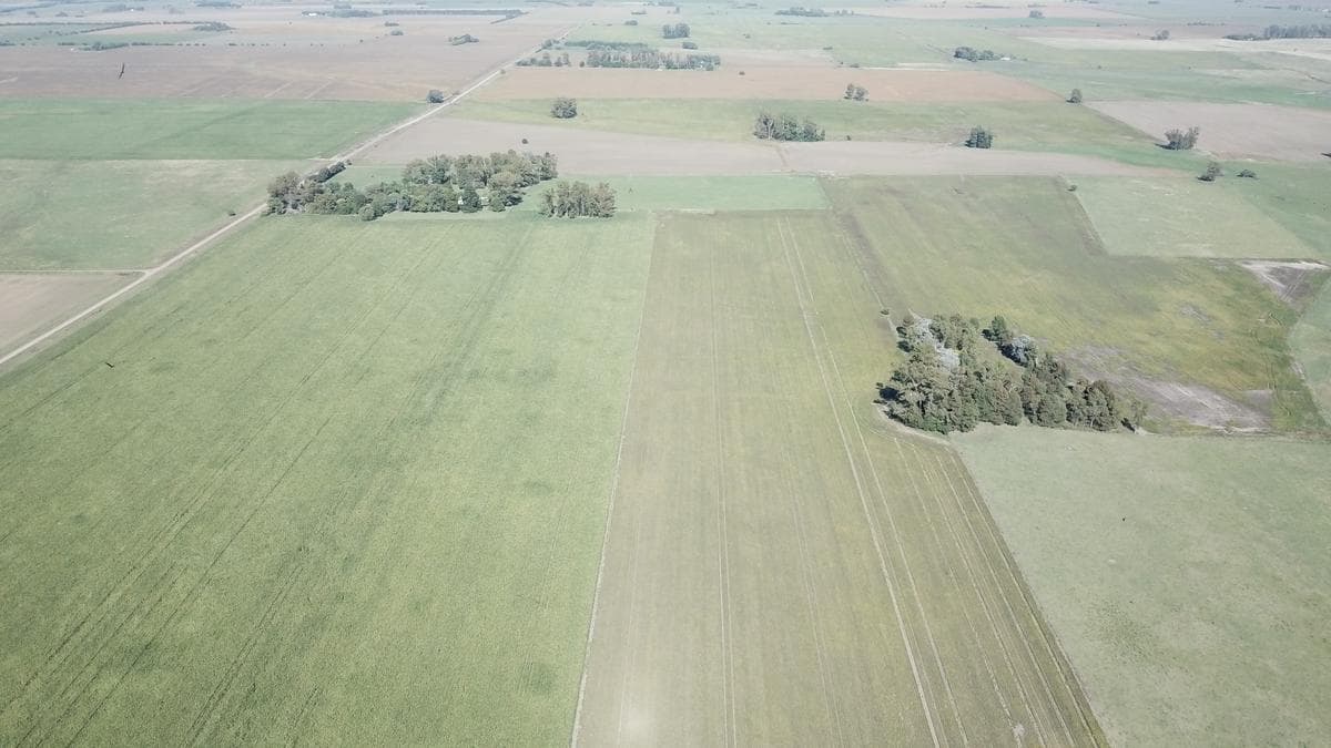 Excelente campo Mixto a 130 km de CABA. Con gran casco antiguo. Baradero Alsina - 1
