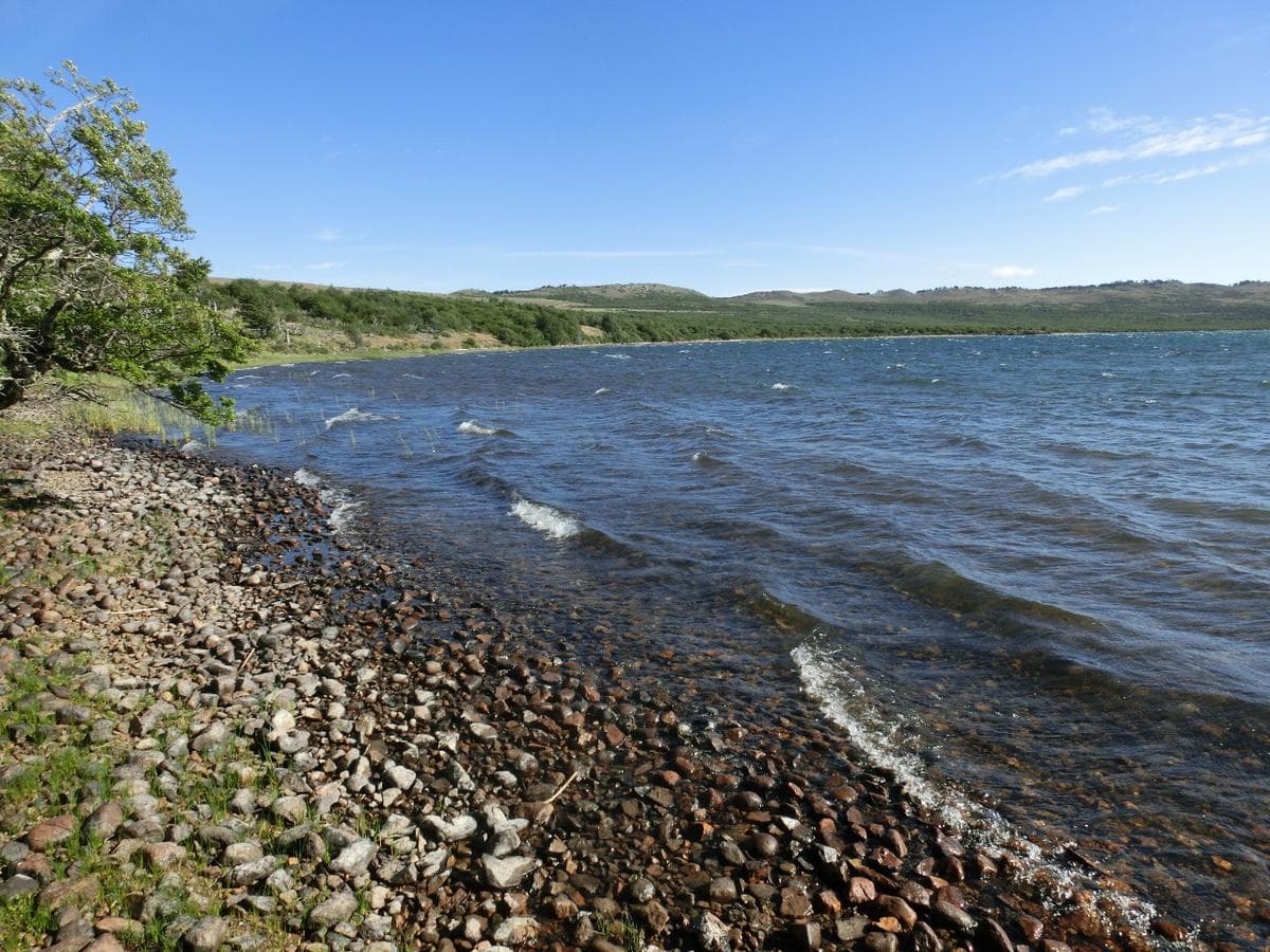 Campo - Rio Pico - 1.600 has con costa de Lago - 1