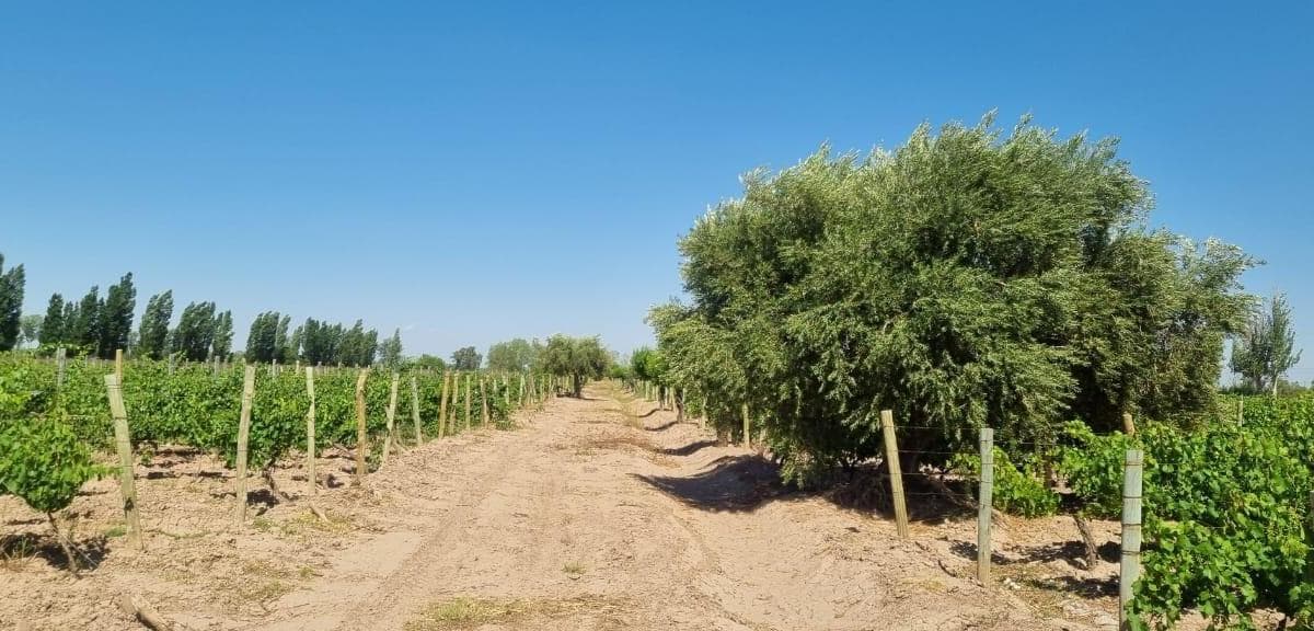 El Divisadero - Divisadero esquina Costa Canal Montecase - 1