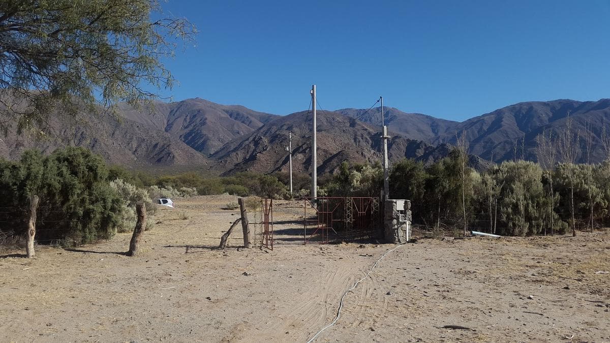 Campo - Cafayate - 1
