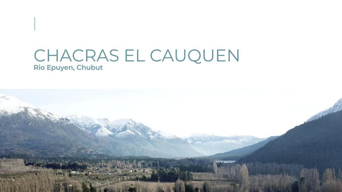 Chacra - Lago Puelo - 1