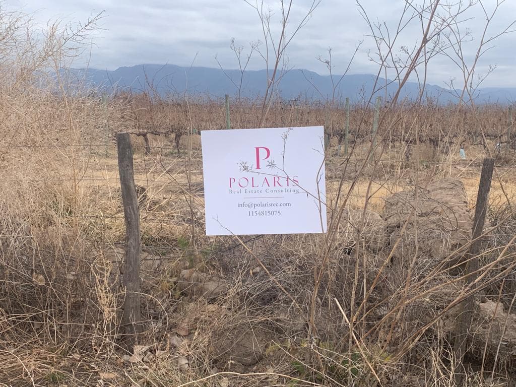 Finca - Anchoris - 1