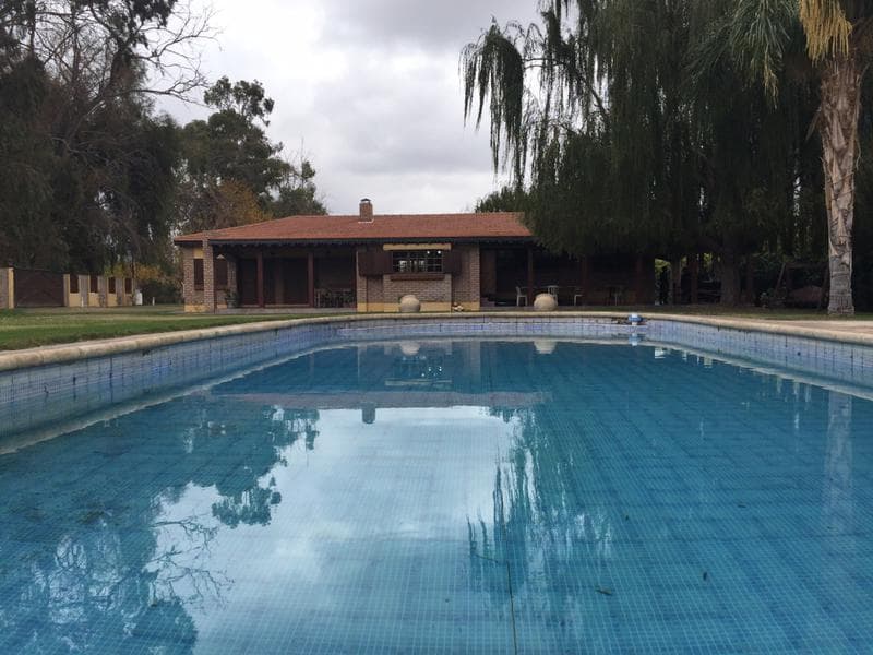 Chacra - Albardon - 1