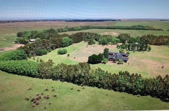 Campo en Ruta 11, km 360 - 1