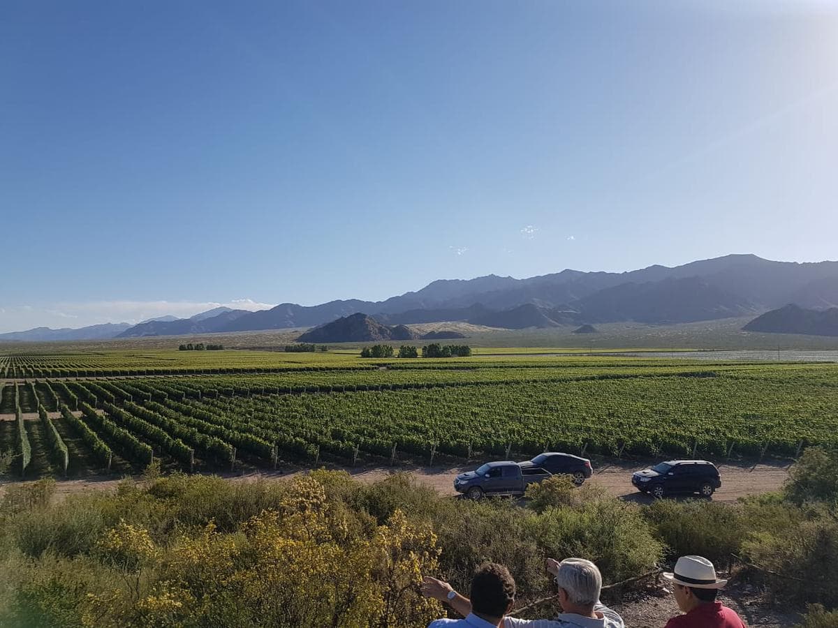 Viñedo Premium de altura en Mendoza en venta sobre Fracción de 23 Has - Oportunidad - 1