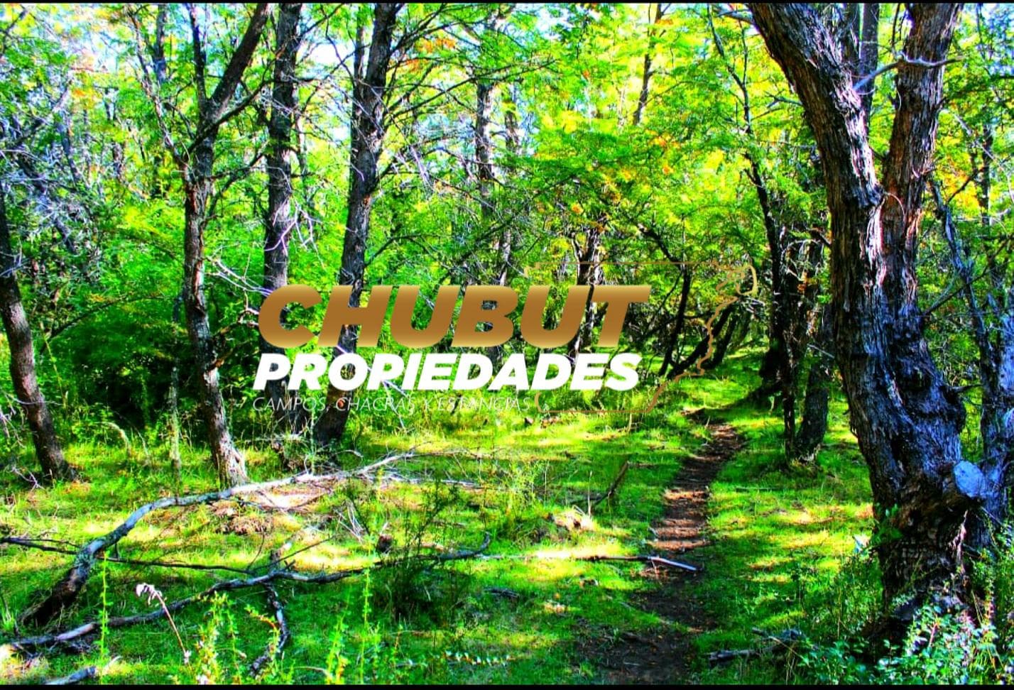 Campo en Cholila - 1