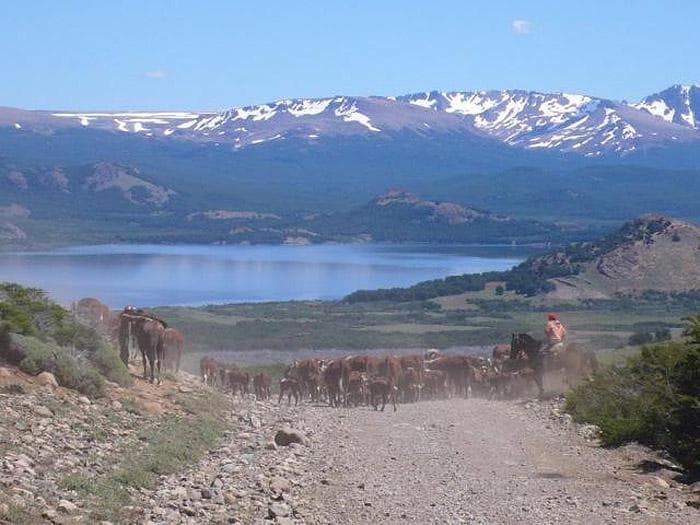 INMOBILIARIA COMODORO - Establecimiento Ganadero en Producción en Chubut. - 1