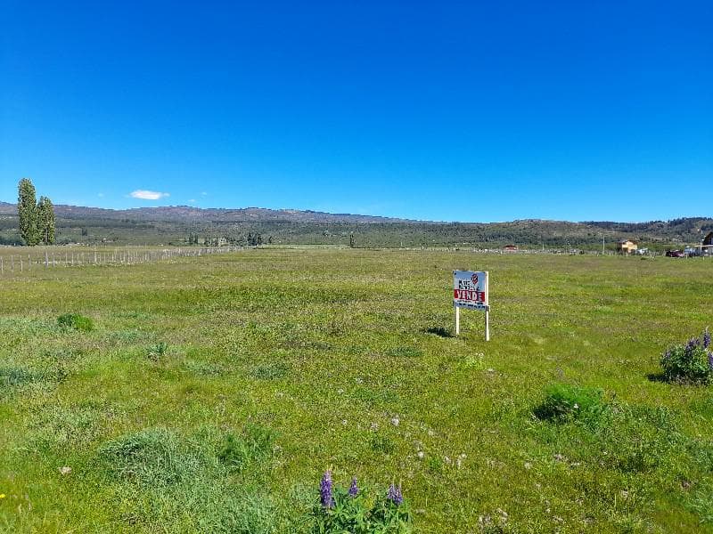 Chacra - Cholila - 1