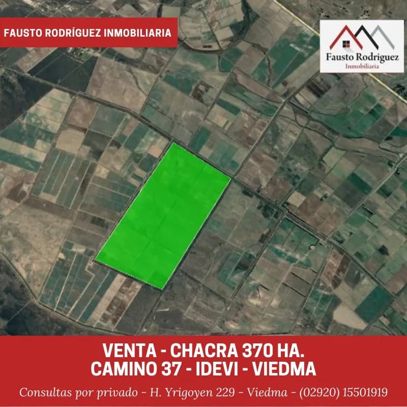 Campo - Viedma - 1