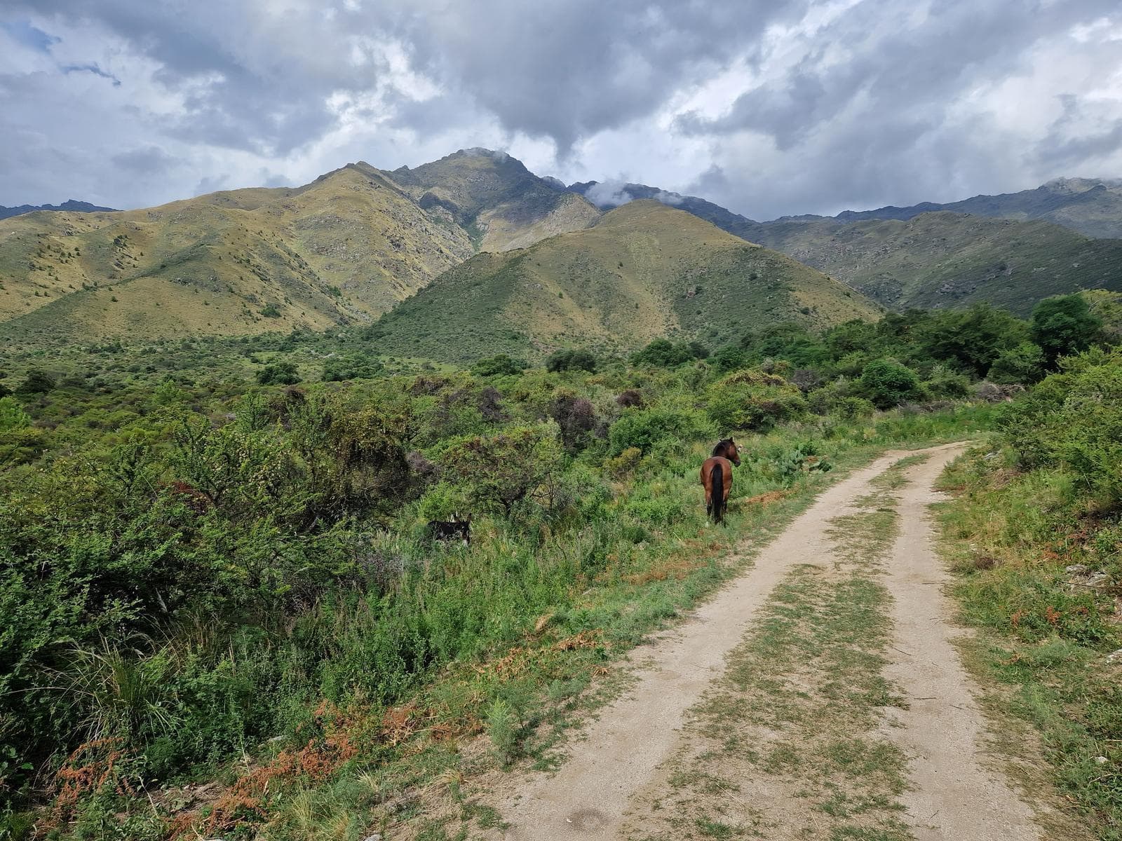 Campo en venta en San Javier, 5 Hectareas, Traslasierra!! - 1