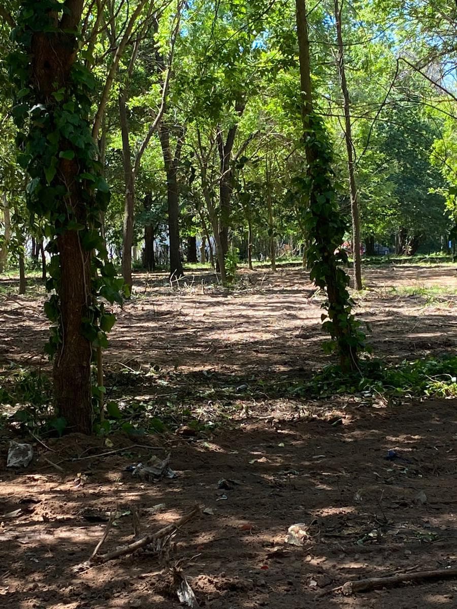 Lotes en venta en Loma Verde - 1