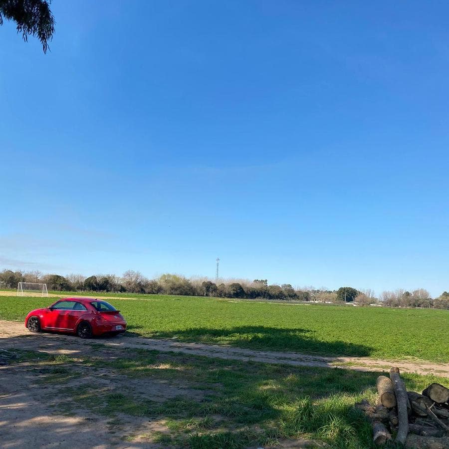 Campo (km49,5 altura instituto fleni) 50ha asfalto hasta la entrada - 1