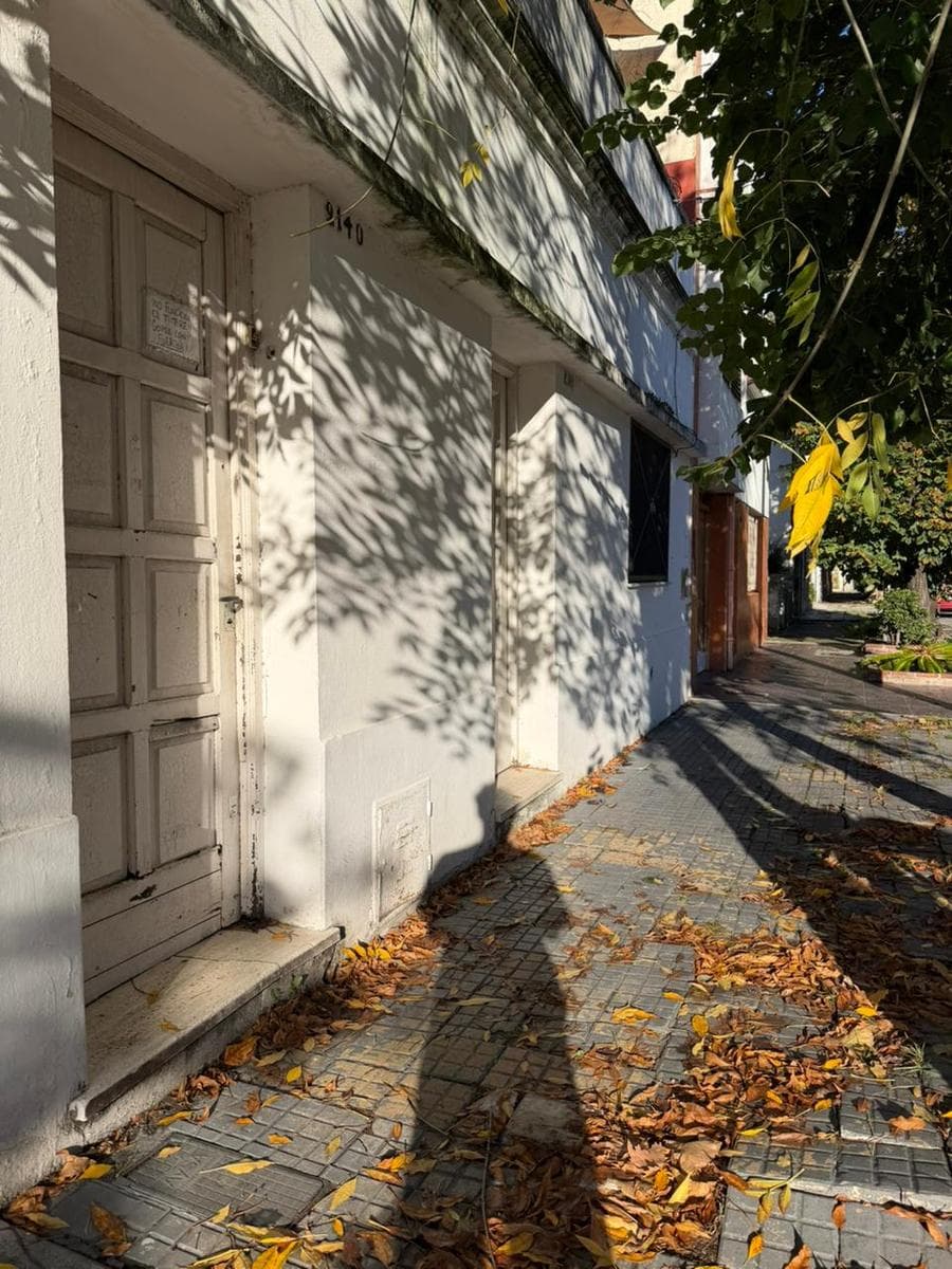 casa jardin y fondo - 1