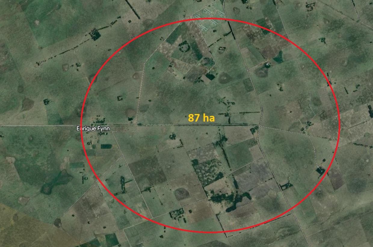Campo en venta, Enrique Fynn - 1