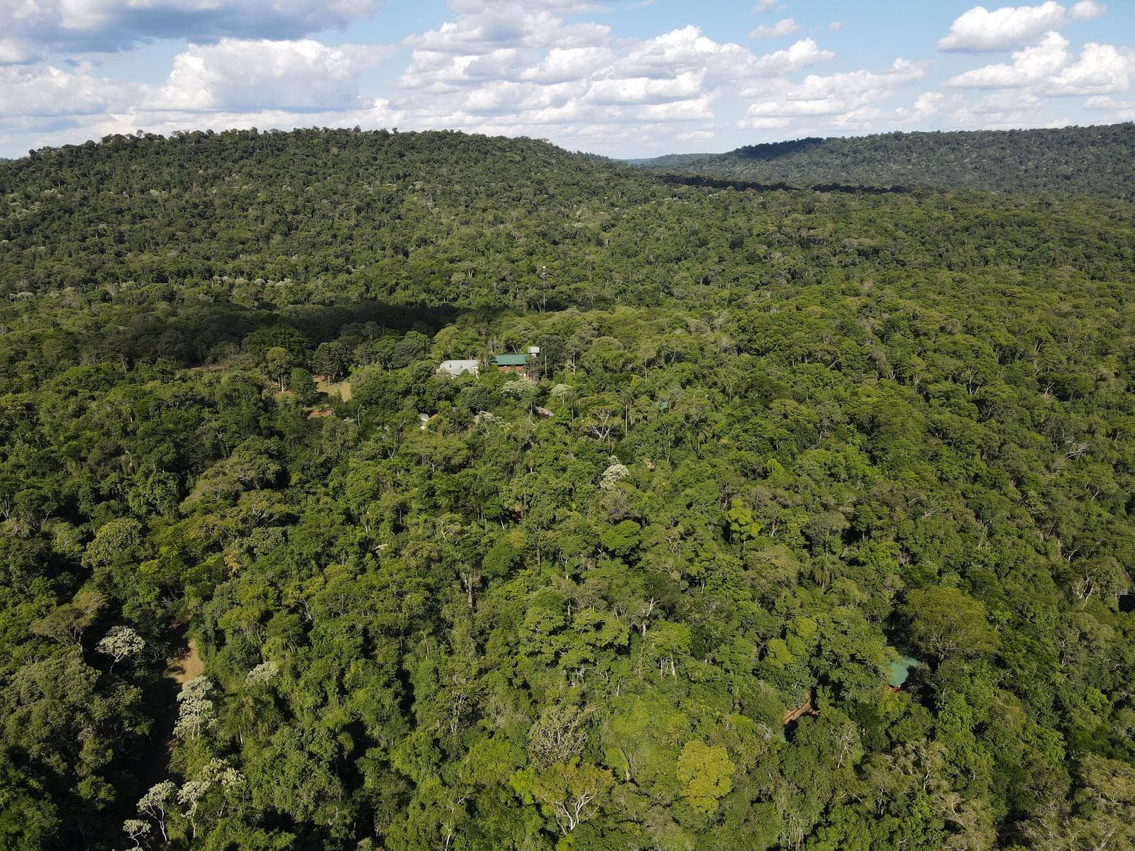 Venta 9058 Has Salta Bosques nativos Ideal Bonos verdes - 1